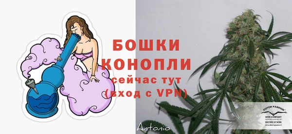 ешки Иннополис