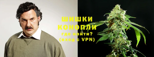 спиды Инсар