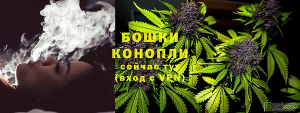 спиды Инсар