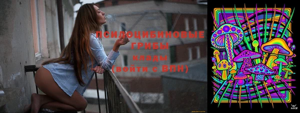 ешки Иннополис