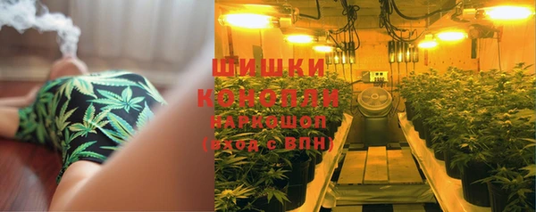 спиды Инсар