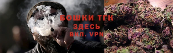 ешки Иннополис