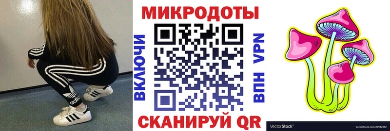 Псилоцибиновые грибы Psilocybe  Купить закладки  Курлово 